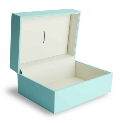 Classic Slide Photo + Flash Box (4x6) - Downie Blue [OUTLET]